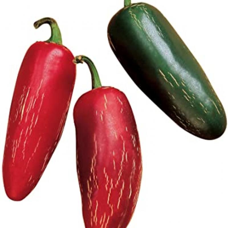 6376715jalapeno-biker-billy.jpg