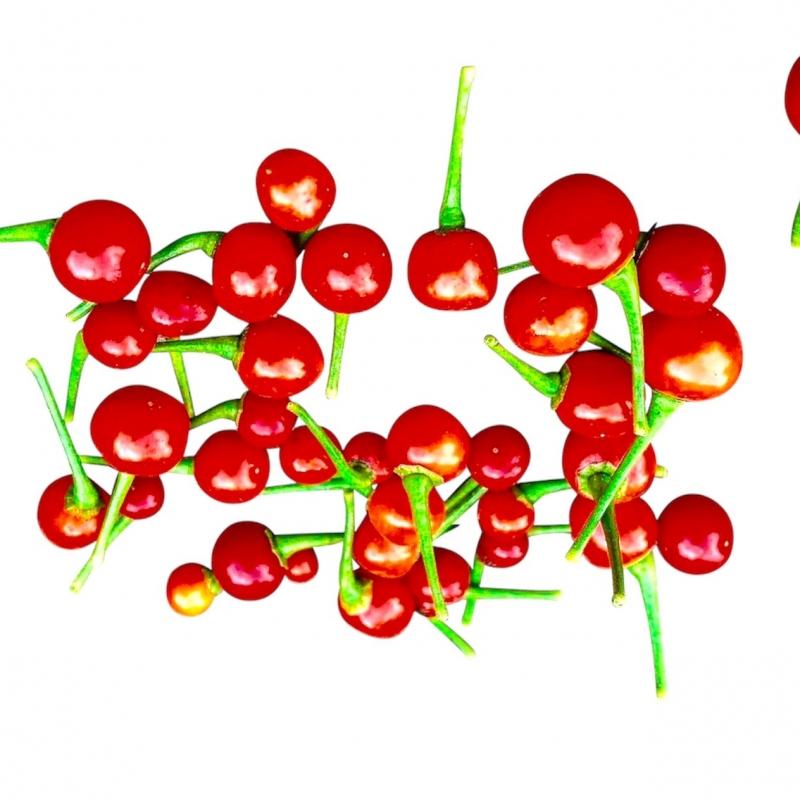 aji-charapita-rosso.jpg