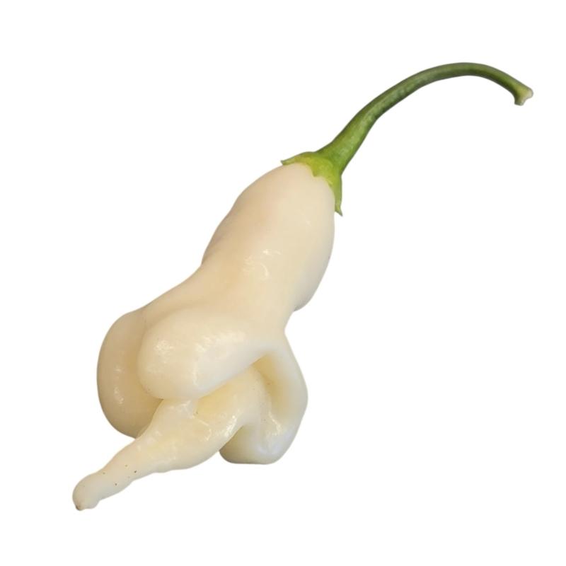 aji-confusion-white.jpg