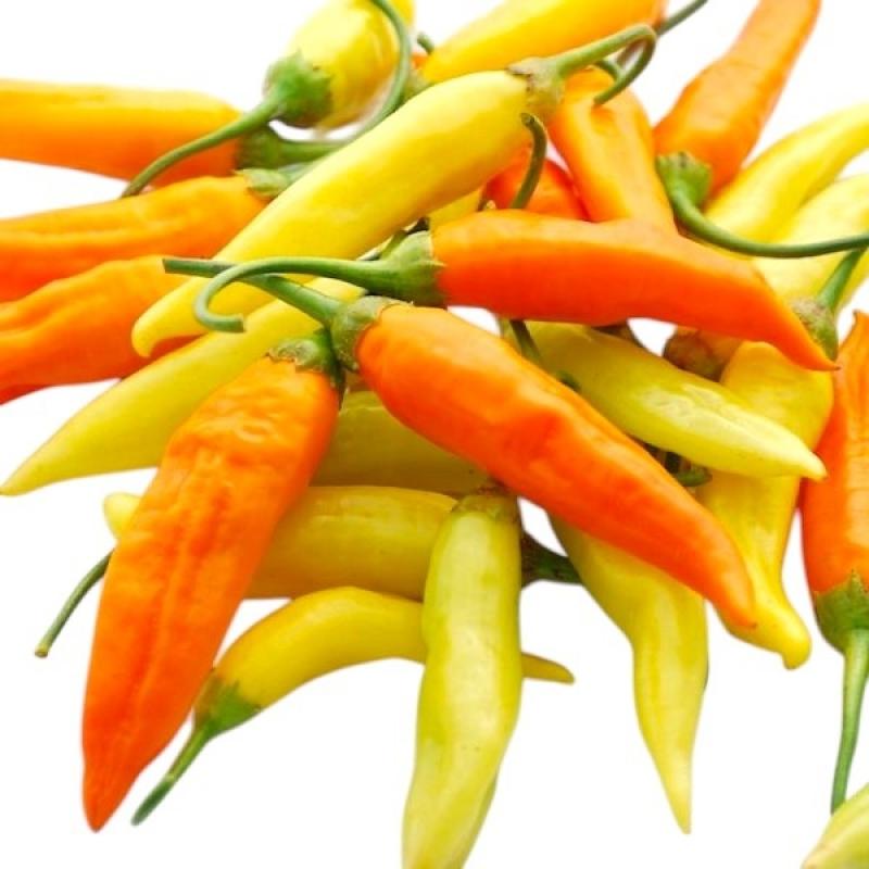 aji-havana-gold.jpg