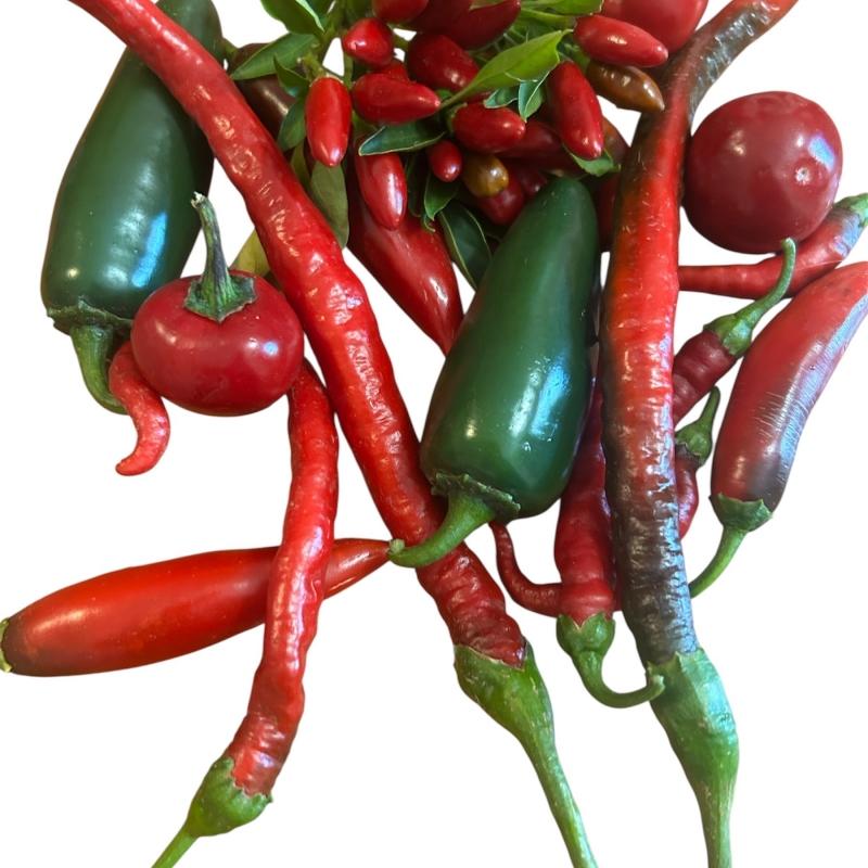 mixannuum1.jpg