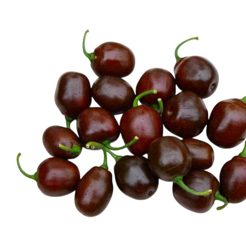 rocoto-mini-brown.jpg
