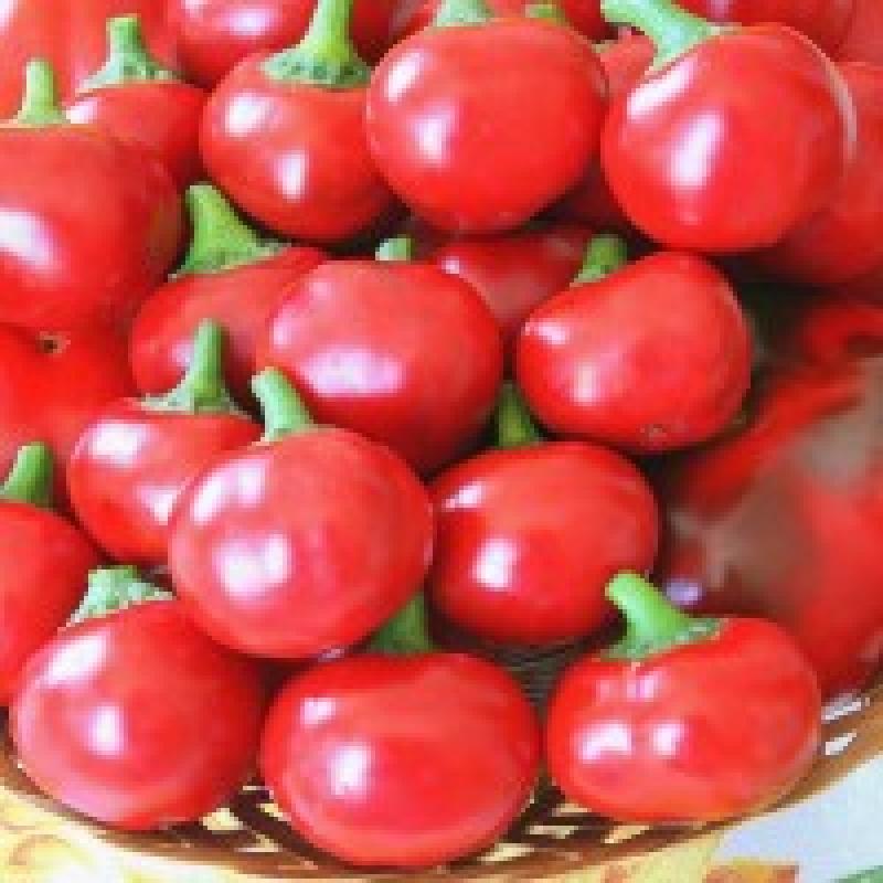 tondo-calabrese.jpg